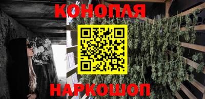 ПСИЛОЦИБИНОВЫЕ ГРИБЫ Абакан