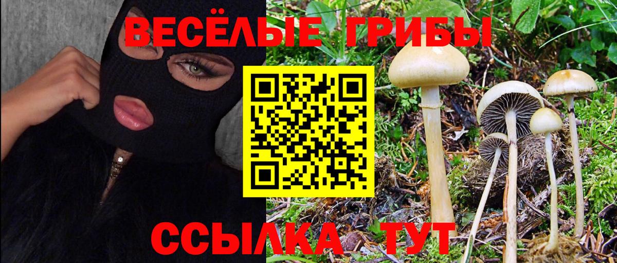 Галлюциногенные грибы GOLDEN TEACHER  Вход с VPN  Алушта 
